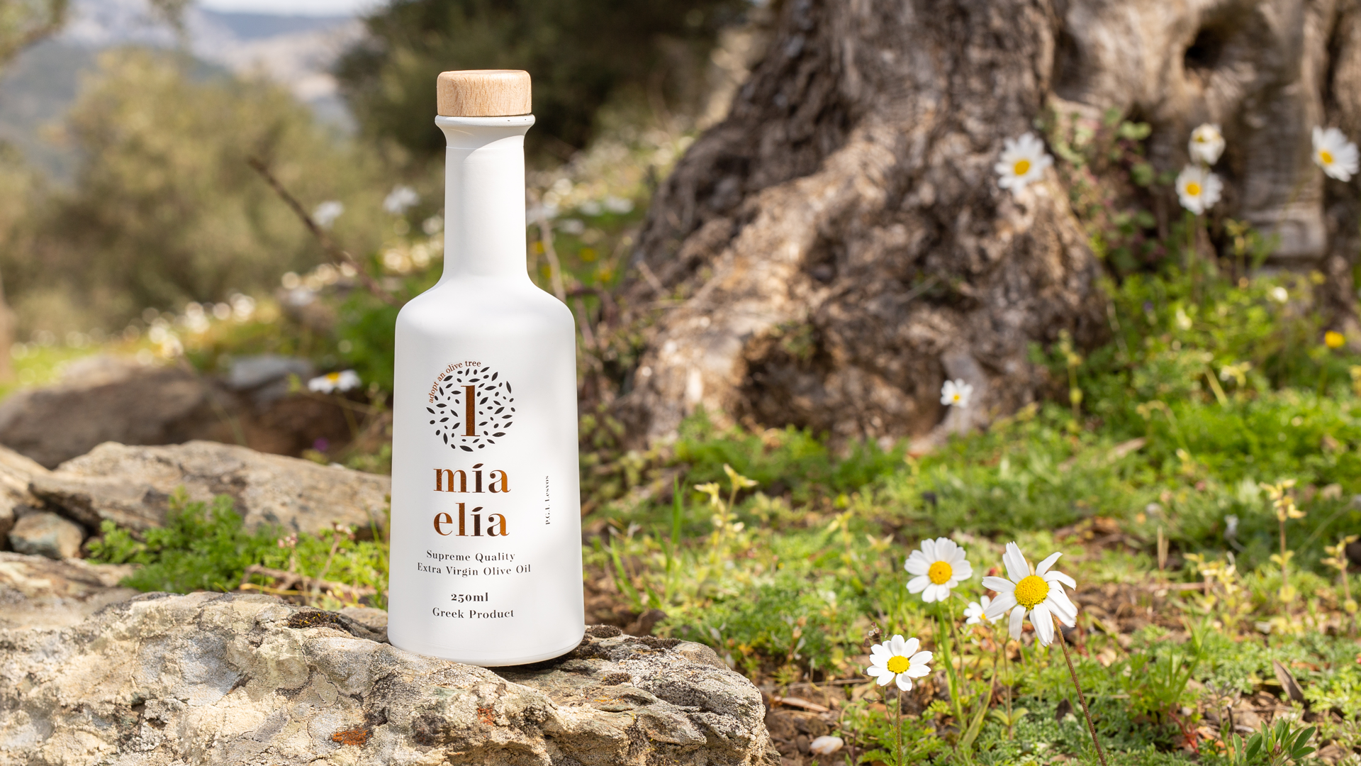 Bottle of oil in an olive grove